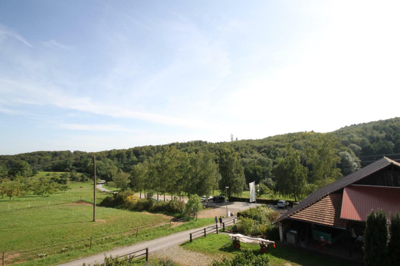 Ferienwohnung Edelbrenner Rimbach  Exteriér fotografie